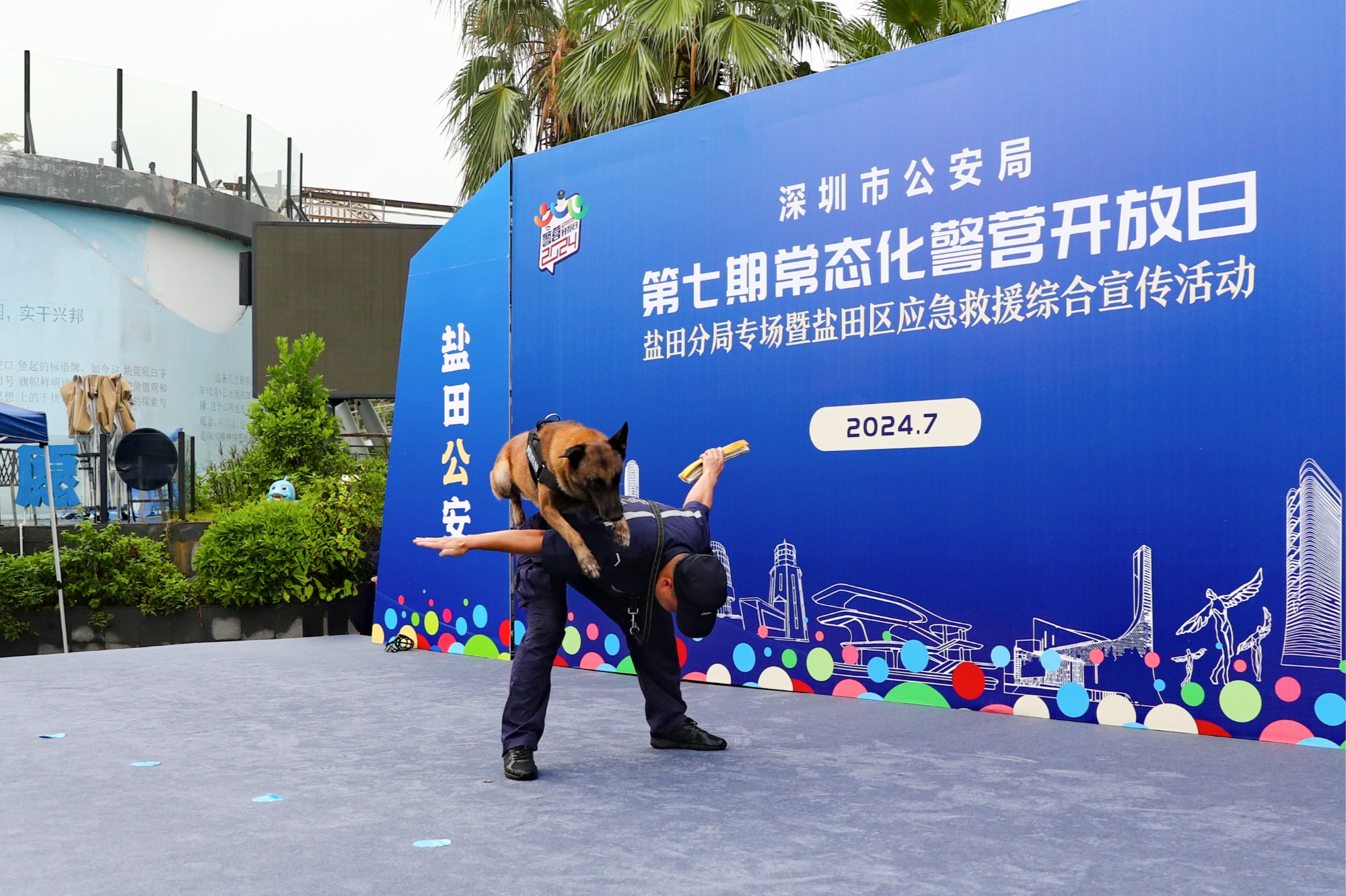 金年会平台-多伦多猛龙训练开放日；赛前强势反弹引欢呼；意大利杯在即；团队化学反应显著的简单介绍